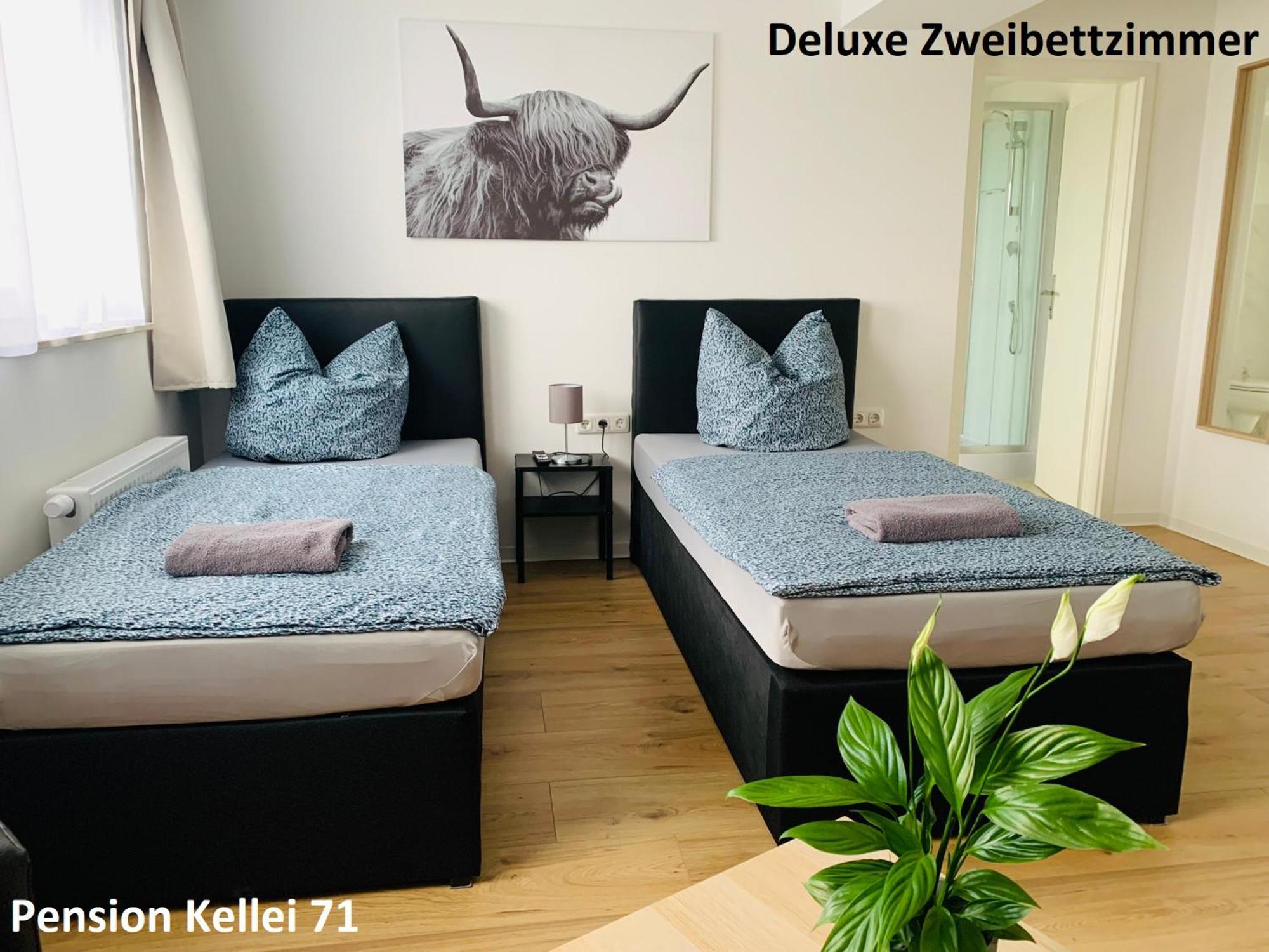 Pension Kellei 71 Dresde Extérieur photo